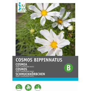 Intratuin bloemenzaad Cosmos (Cosmea 'Hummingbird White')