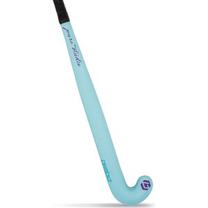 Brabo G-Force Pure Studio Veldhockey sticks