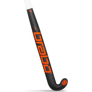 Brabo IT Traditional Carbon 70 LB Zaalhockey sticks