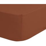 Good Morning - Hoeslaken - Terra - 100% Katoen - Oeko-Tex Gecertificeerd