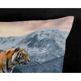 Dekbedovertrek - Wit - Katoen