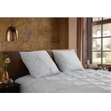 Pure - Elegance - Dekbedovertrek - Zilver - 100% Polyester - 1 Persoon