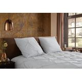 Dekbedovertrek - Grijs - Katoen - 2-Persoons