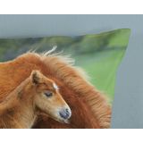 Dekbedovertrek - Wit - Katoen - 1 Persoons