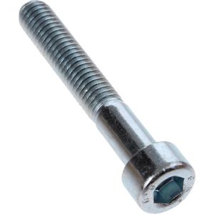 Bofix inbusbout M6x40 verzinkt (12st)