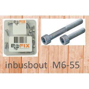 Bofix inbusbout M6x55 verzinkt (12st)