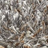 Vloerkleed - Grijs - Wol