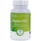 RP - Vitamino Analytic Gaster-HCL Capsules - Voedingssupplement - Capsules