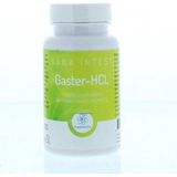 RP - Vitamino Analytic Gaster-HCL Capsules - Voedingssupplement - Capsules