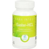 RP Supplements Sana Intest Gaster-HCL capsules