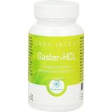 RP - Vitamino Analytic Gaster-HCL Capsules - Voedingssupplement - Capsules