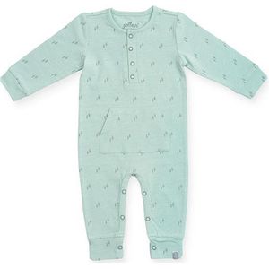 Jollein Boxpakje 50/56 Forest green