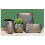 Floran Plantenpot - bronskleurig - keramiek - 14 x 10 cm -  Binnen gebruik