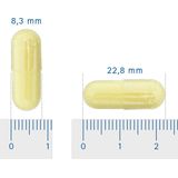 Quercetine - Vitamine C - Bioflavonoïde - Natuurlijke Kleurstof