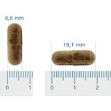 Vitalize - Zwarte Knoflook - Gefermenteerd Extract - 100% Natuurlijk