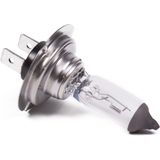 Benson Autolamp PX26D H7 - 55 Watt - 12 Volt