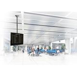 Newstar - NM C440BLACK - Tv-beugel - Zwart - Voor Flatscreens Tot 60 Inch