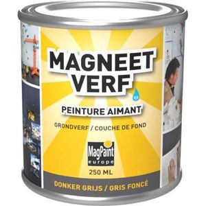 MagPaint | Magneetverf | 250ml (0.5m²)