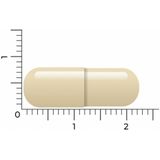 Vitakruid Gebufferde Vitamine C 100 Vegetarische capsules