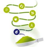 Vitakruid - Super Greens - 220g