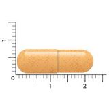 Vitakruid Curcuma C3-2X - 60 vegicaps