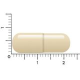 Vitakruid Geheugenformule 60 Vegetarische capsules