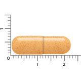 Vitakruid - B-Complex Actief zonder B6 - Capsules - 90 stuks