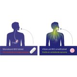 Vitakruid - B12 Combi 10.000 - Smelttabletten - 120 Stuks