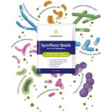 Vitakruid Symflora basis pre- & probiotica 60 sachets