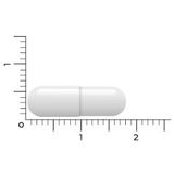 Vitakruid Resveratrol 200 mg met bioperine 60 Vegetarische capsules
