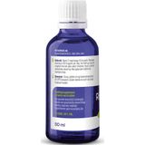 Vitakruid Ribes Nigrum Tinctuur 100 ml