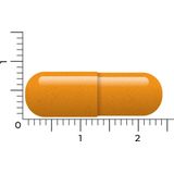 Vitakruid Groene Thee & Bioperine 60 vega capsules