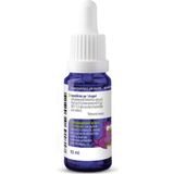 Vitakruid - Baby D - 10ml