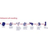 Vitakruid - MCT Olie C8 - 500ml