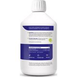Vitakruid - SilSolutions - Aardbei - 500ml - Mineralenpreparaat met Vitamine C
