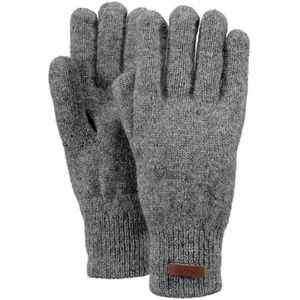 Barts Handschoenen Grijs Haakon Gloves 0095/02