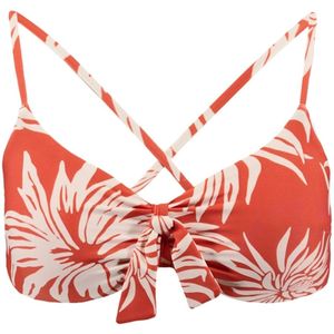 Bikinitop Barts Women Deltia Crop Top Rust