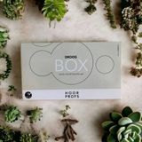 Hoorprofs - Droogbox - Gehoorapparaat - Wit - Kunststof