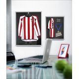 Nielsen wissellijst collagelijst voor het inlijsten van (voetbal) shirt of verzameling