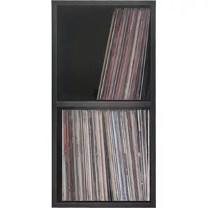 Vinyl lp platen opbergkast - opbergen lp vinyl platen - boekenkast - 2 vakken - zwart