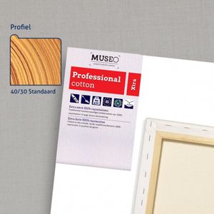 CX Professional Canvas Schildersdoek 100x120 3 stuks