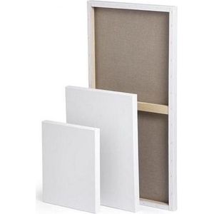 CO Professional Canvas 100x120 Schildersdoek 5 stuks