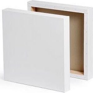 CX Professional Canvas Schildersdoek 30x150