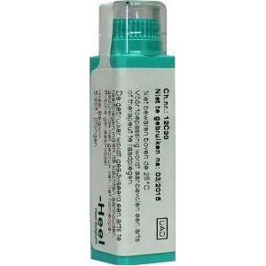 Homeoden - Aesculus Hippocastanum D30 - Homeopathische Granules - 6 Gram