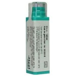 Homeoden - Heel Arnica montana - Homeopathisch Geneesmiddel - 6 Gram