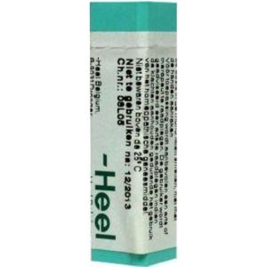 Homeoden - Heel Arnica Montana - Homeopathisch Geneesmiddel - 1g