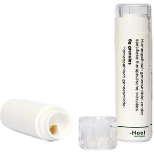 Homeoden Heel Asa foetida 12K - Granules - 6 gram