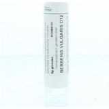 Homeoden - Berberis vulgaris D12 - Homeopathisch Geneesmiddel - 6 Gram