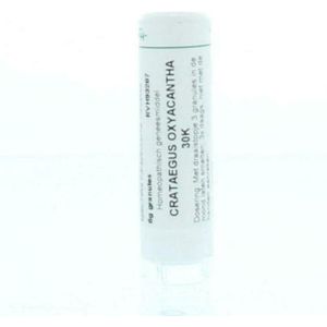 Homeoden - Crataegus Oxyacantha - Homeopathisch Geneesmiddel - 6 Gram