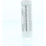 Homeoden - Drosera Rotundifolia D6 - Granules - 6 Gram